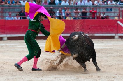 Plaza de Toros bullfights